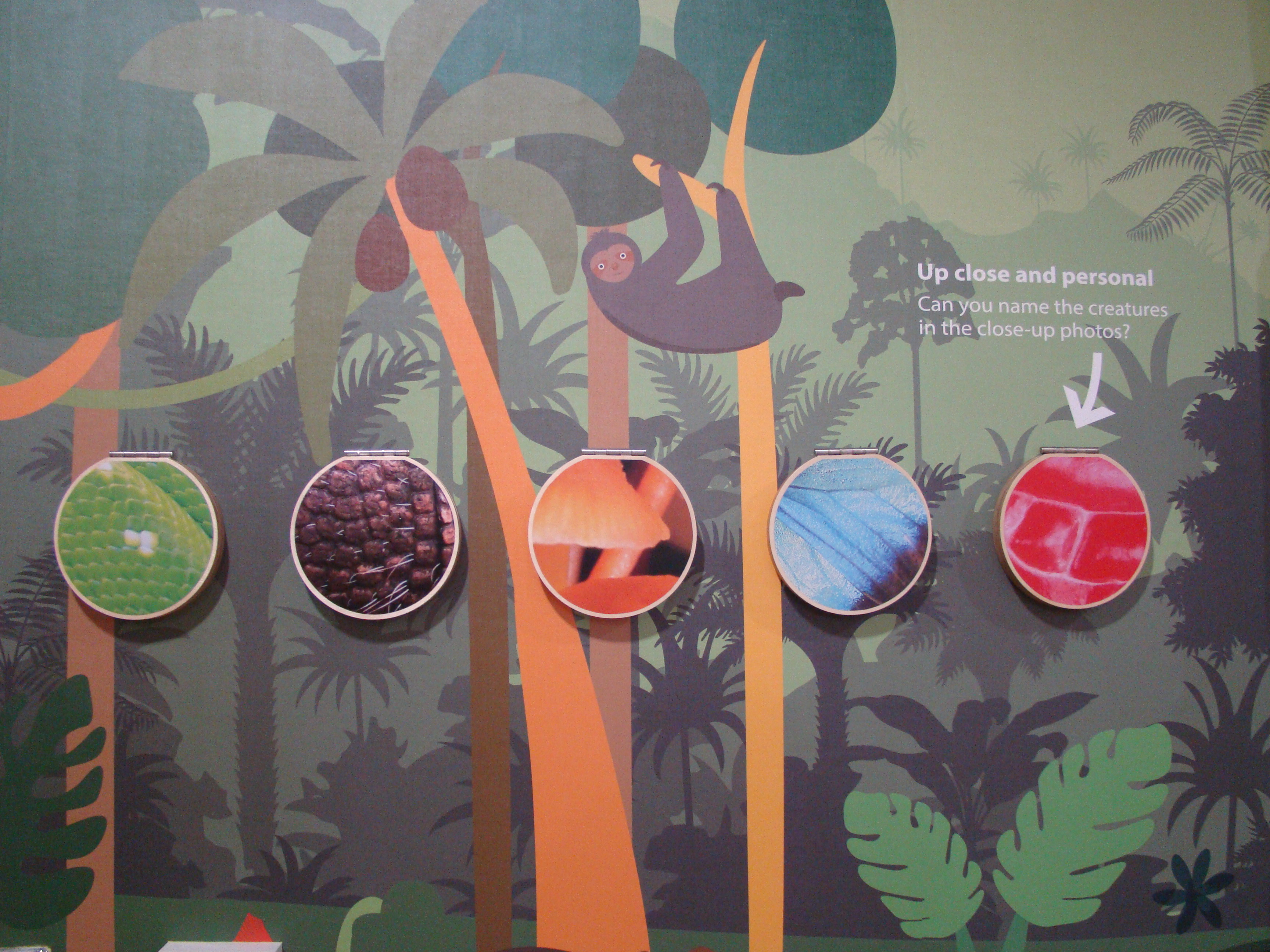 Custom-printed circular lift flaps on a woodland interpretation panel