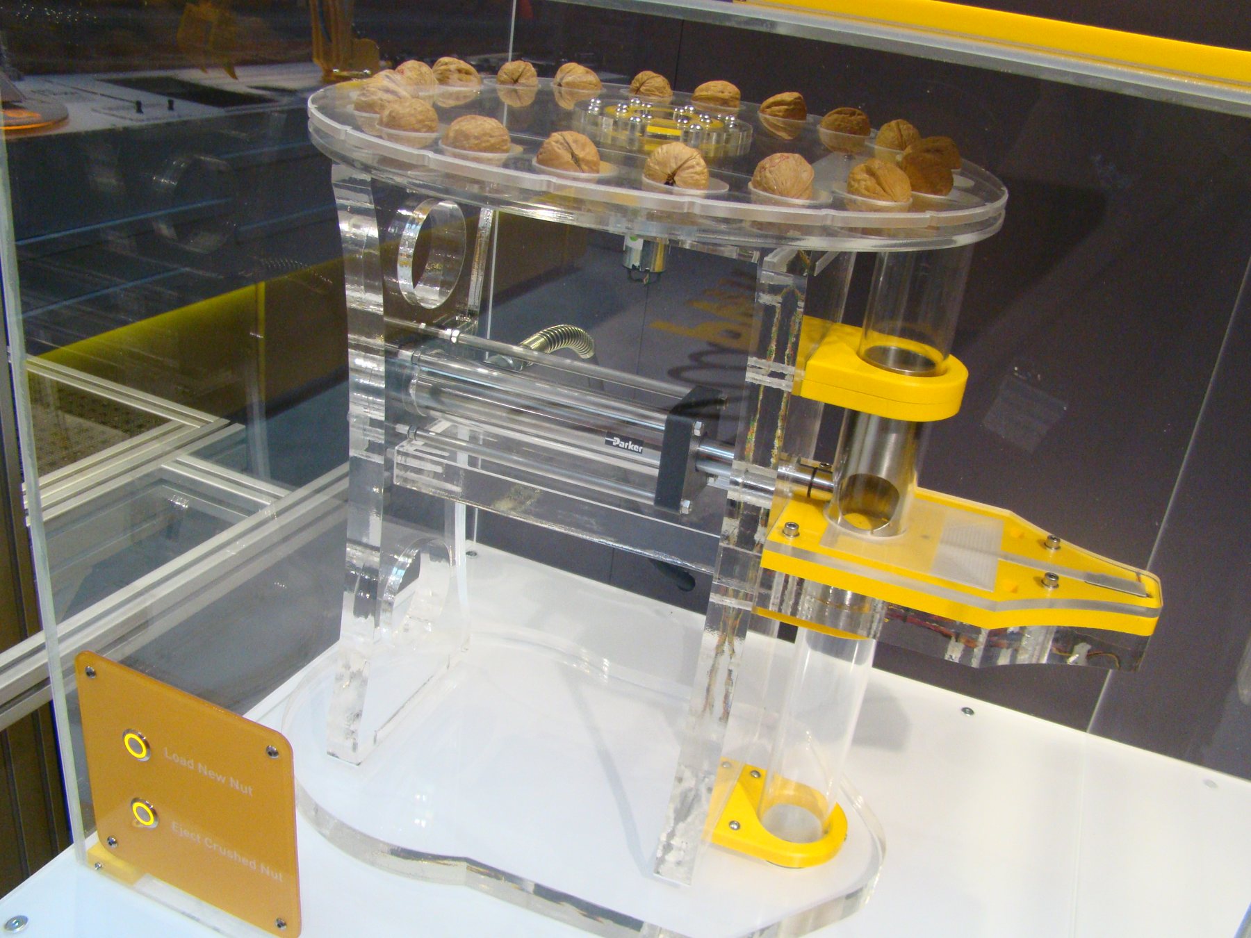 Hydraulic Nutcracker: the clear enclosure and nut-cracking assembly.