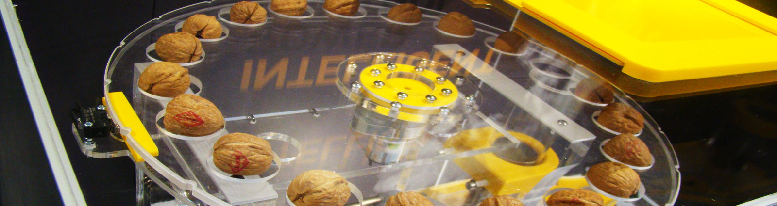 The completed hydraulic nutcracker exhibit.