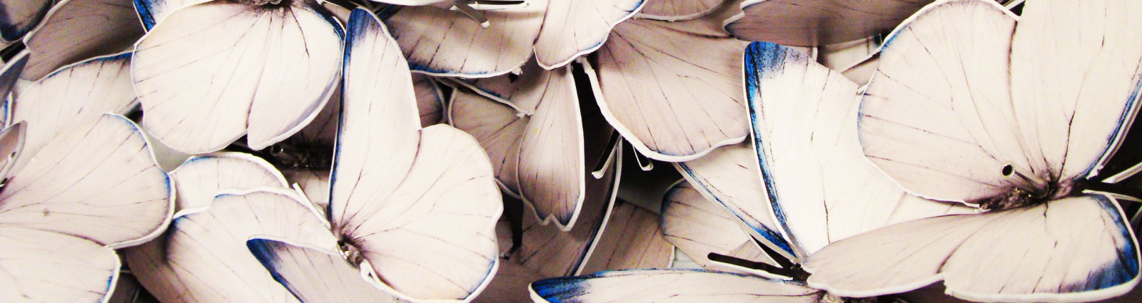 The finished butterfly installation with exhibition lighting.