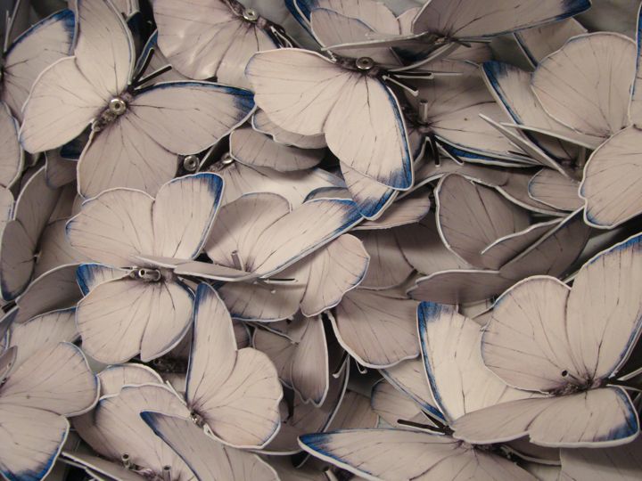 A closer view of the individual butterfly components.