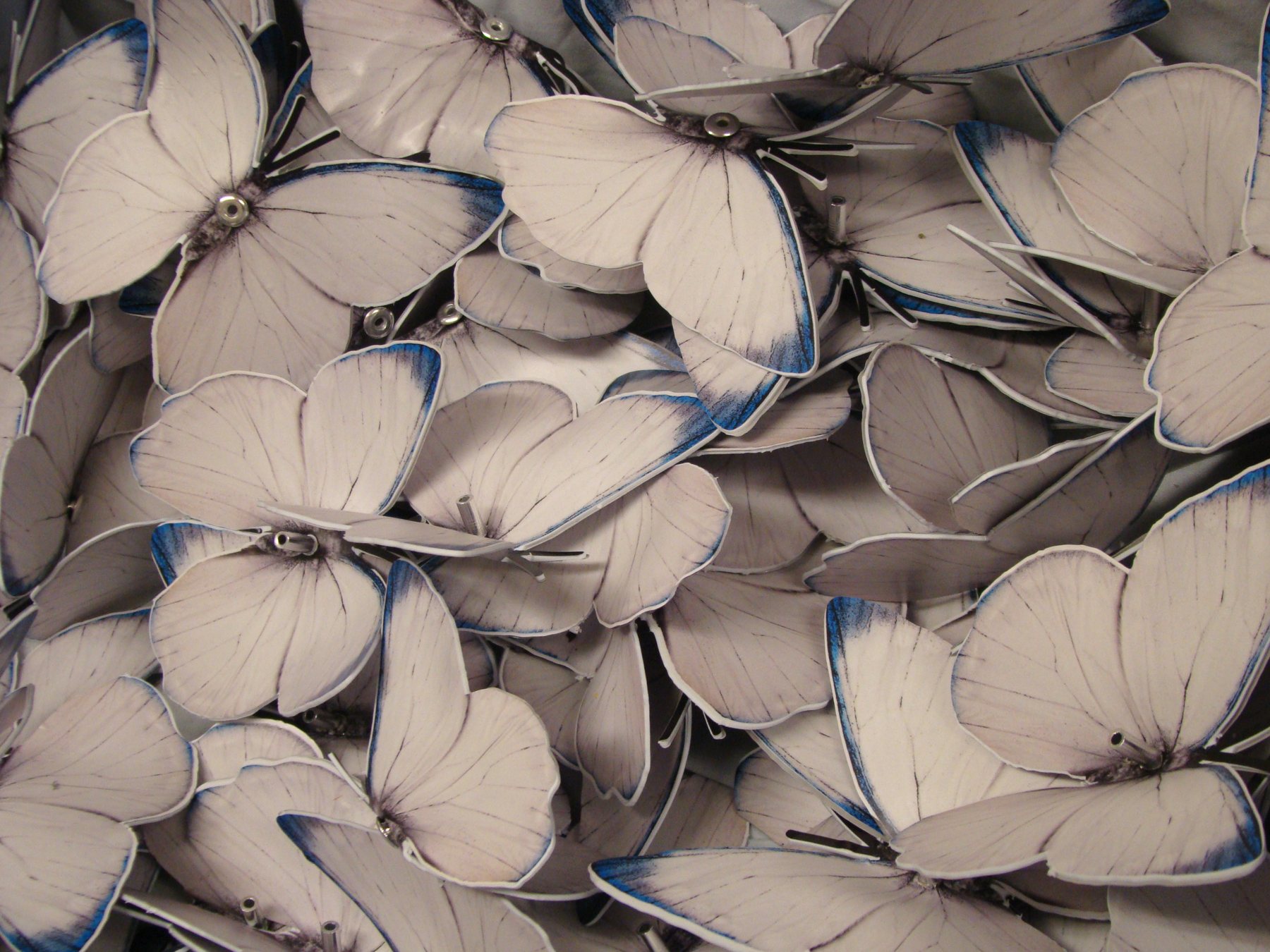 A closer view of the individual butterfly components.