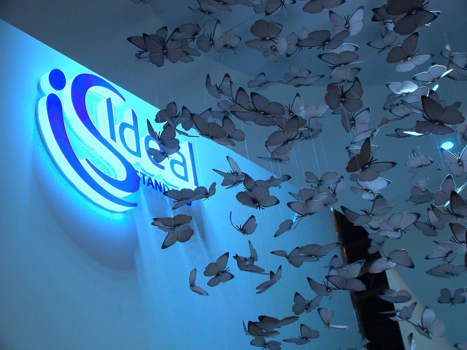 The finished butterfly installation with exhibition lighting.