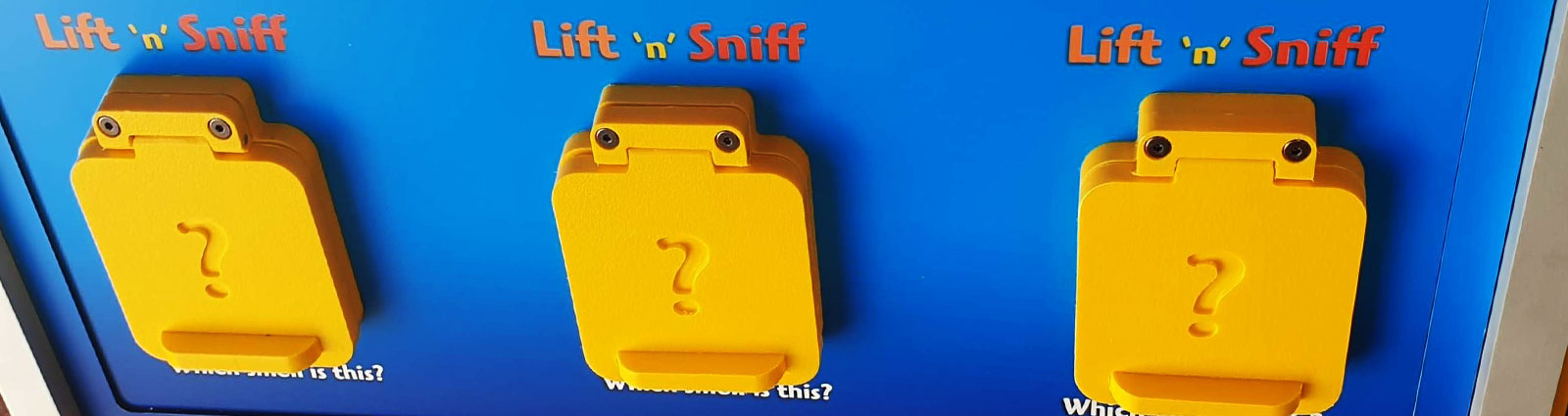 The freestanding lift-and-sniff activity unit.