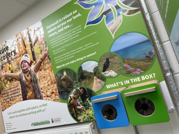 The boxes shown alongside their surrounding interpretation graphics.