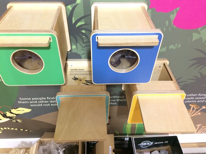 Touch & Feel Interpretation Boxes: a sliding top opened to reveal the contents.