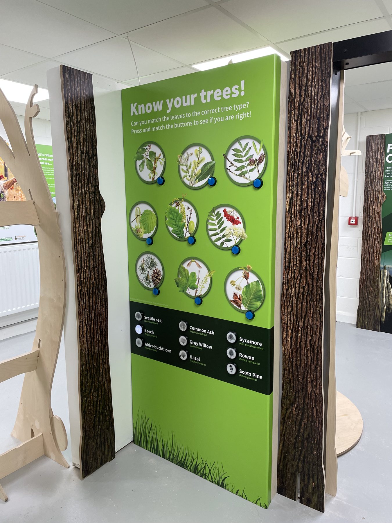 The complete tree identification panel.