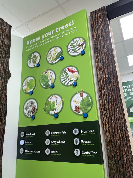 Tree Identification: a closer view of the leaf illustrations and controls.