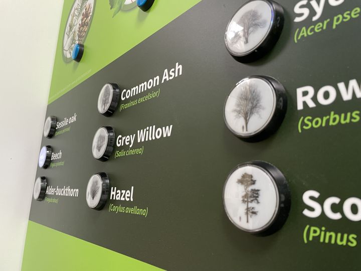 Tree names and physical selection buttons.