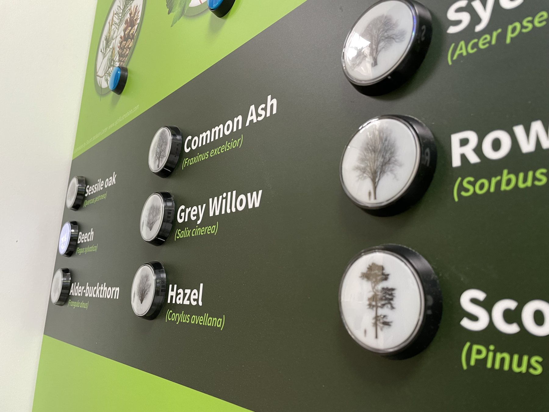 Tree names and physical selection buttons.