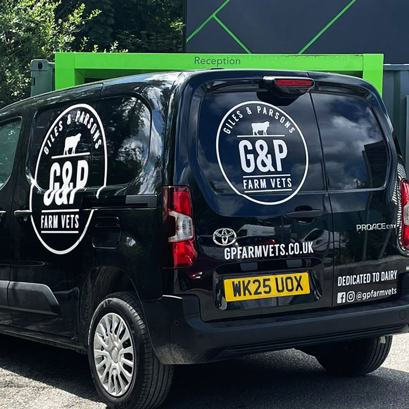Vet van with vinly logo in Launceston Cornwall