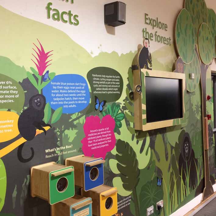 Rainforest musuem exhibition design and maker. With touch and feel boxes and interactive screens. 