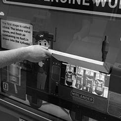 Museum interactive display for conkers Derbyshire