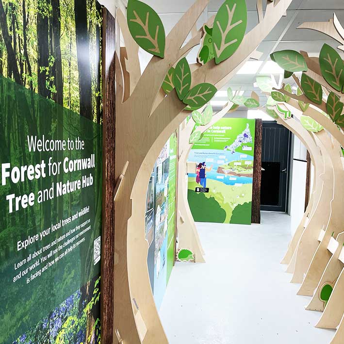 Interactive forest museum display with 3D trees