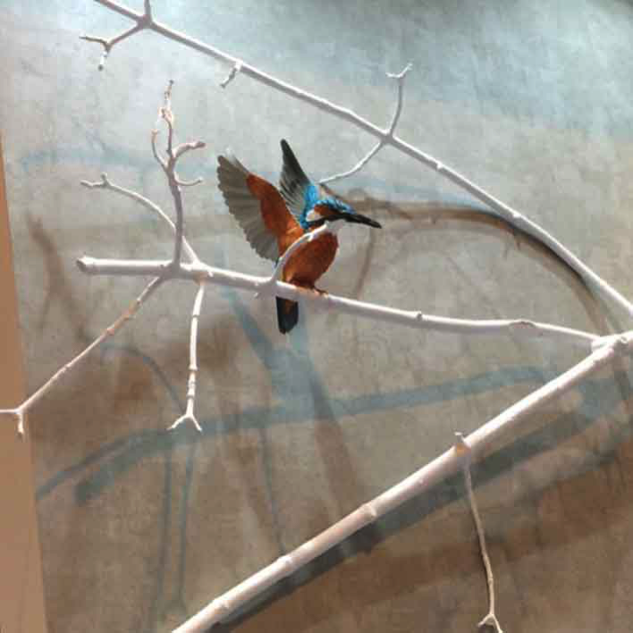 tactile interpretation exhibit diplay with kingfisher bird