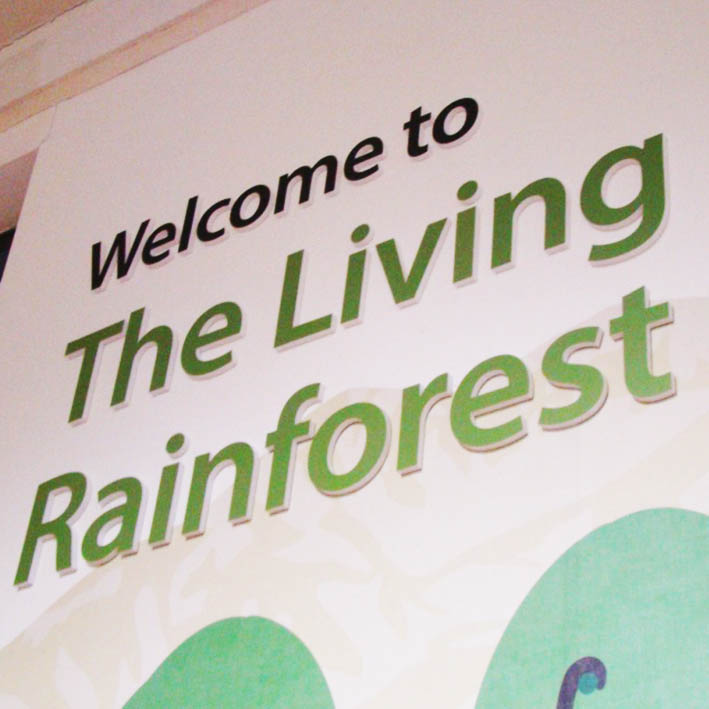 Sustainable 3D living rainforest sign cut from recycled foam