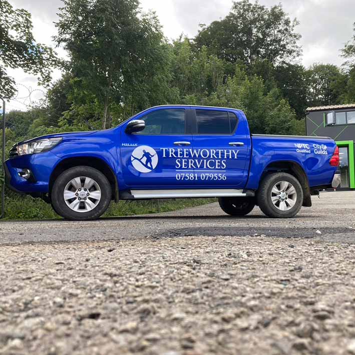 Truck signwriting on blue vehicle for Treeworthy Services
